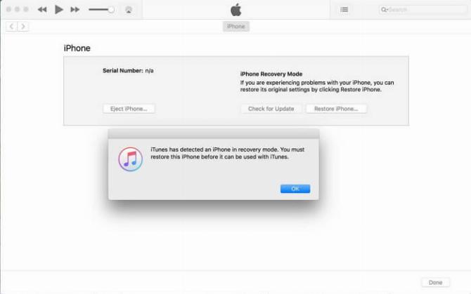 перевести iPhone в режим восстановления в iTunes