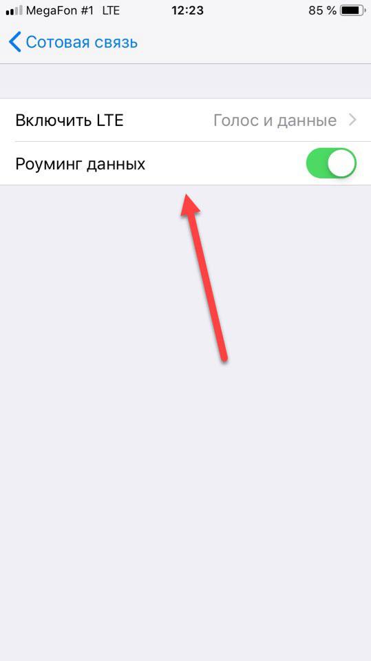 Включение роуминга на Айфоне