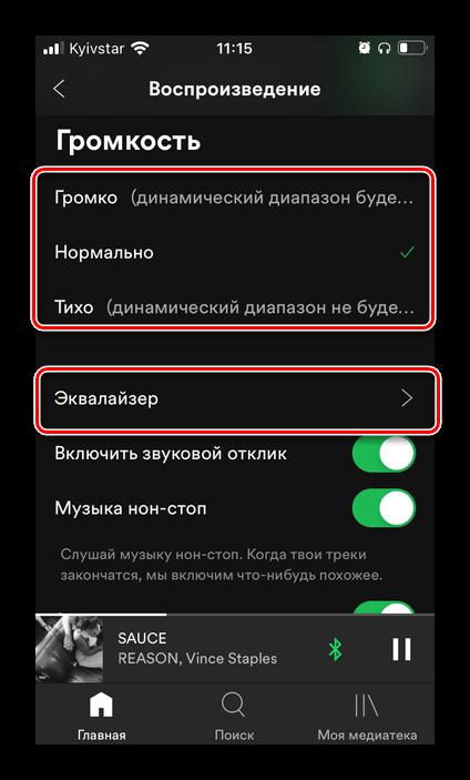 Выбор громкости и эквалайзера в настройках приложения Spotify на iPhone