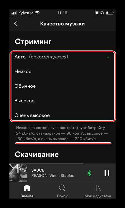 Выбор качества музыки в настройках приложения Spotify на iPhone