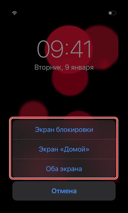 Выбор варианта установки живых обоев в Настройках iOS на iPhone