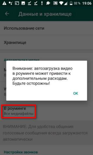 Автосохранение в роуминге в WhatsApp