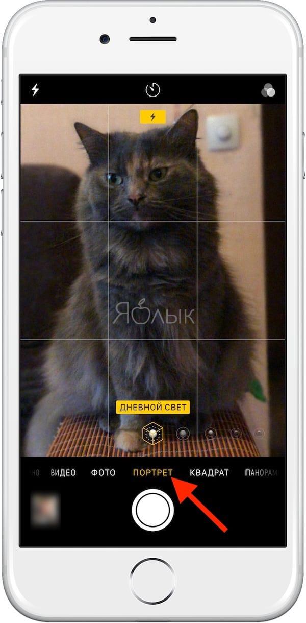 Как включить Портретный режим на iPhone