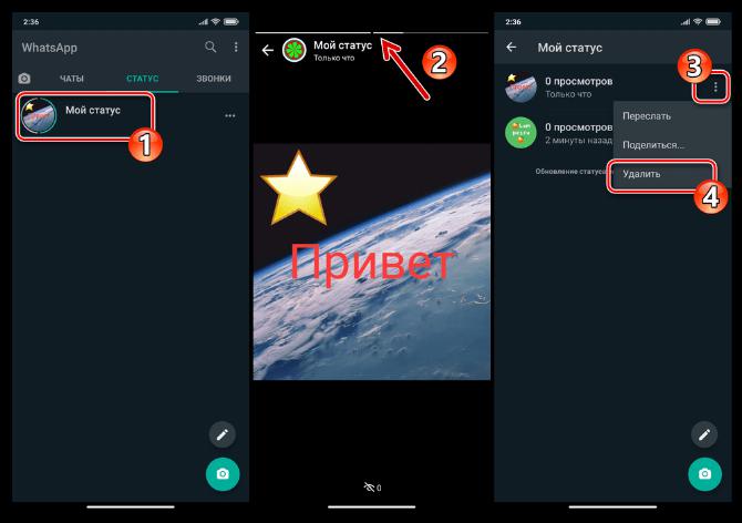 WhatsApp для Android просмотр и удаление своих графических статусов в мессенджере