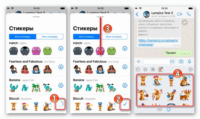 WhatsApp для iPhone процесс скачивания стикерпака в мессенджер и его завершение