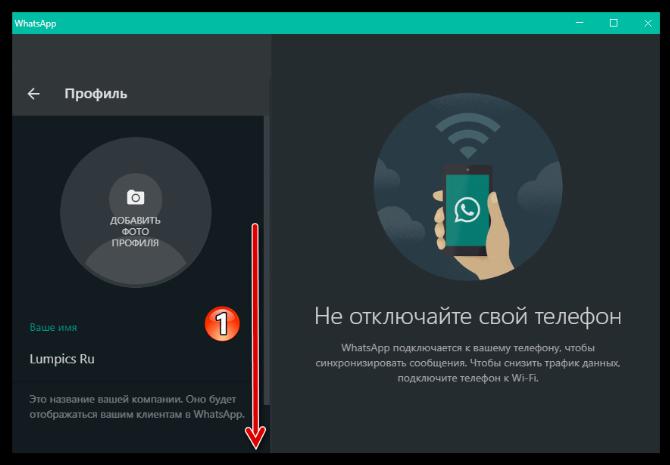 WhatsApp для Windows настройки профиля в мессенджере